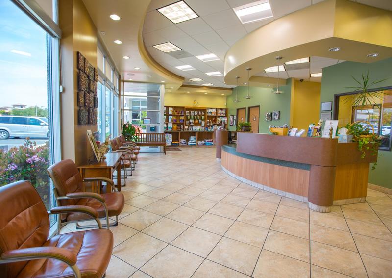 Carousel Slide 2: Reception area in our lovely practice